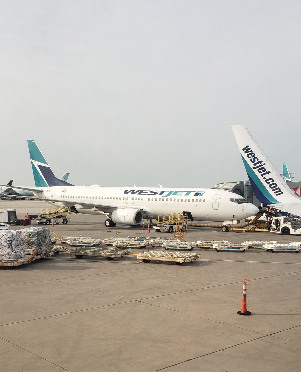 torigass's tweet photo. First flight since before the pandemic! Charlottetown, here I come! #yyz #yyg @WestJet https://t.co/De2lb0jZF9