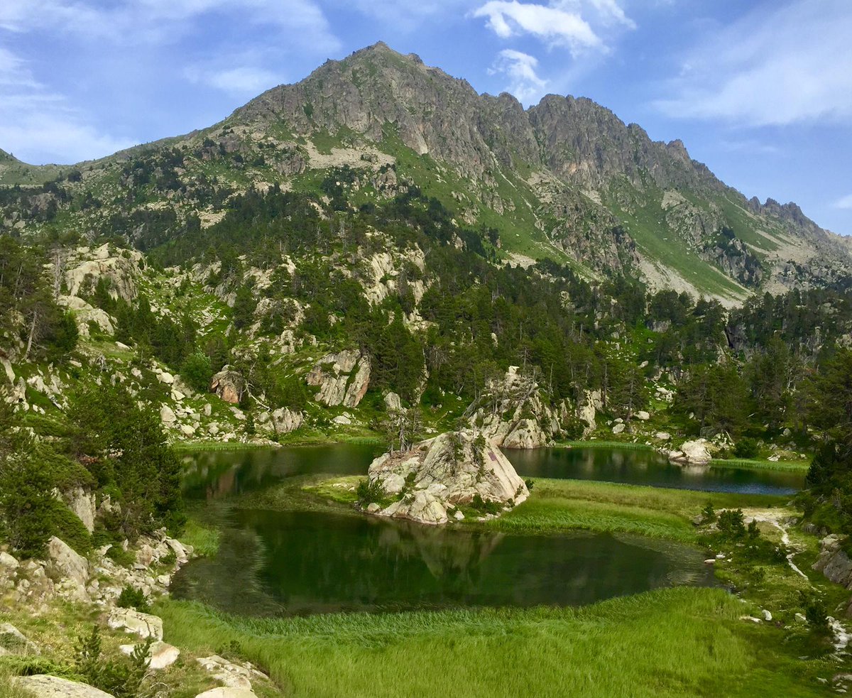 Ahir l'equip que es troba mostrejant al #PNAigüestortes va localitzar 10 espècies de #cormòfits aquàtics. Tot un récord 🌱💧

Estany Cloto de Baish a l'#Aran