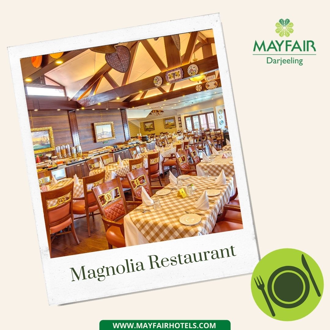 MayfairResorts's tweet photo. Ambience to die for! Mayfair Darjeeling offers the best multi-cuisine delicacies in #Darjeeling
Book your stay from https://t.co/VOtLuoz7C2
#MayfairHotelsandResorts #safestays #hotelsandresorts #ExperienceMayfair #MayfairHotels #LuxuryResorts #mayfairpackages https://t.co/5BbdbqOnL7