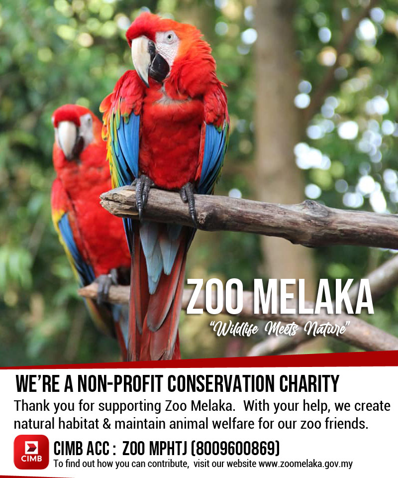 Zoo Melaka dan Taman Burung tweet media