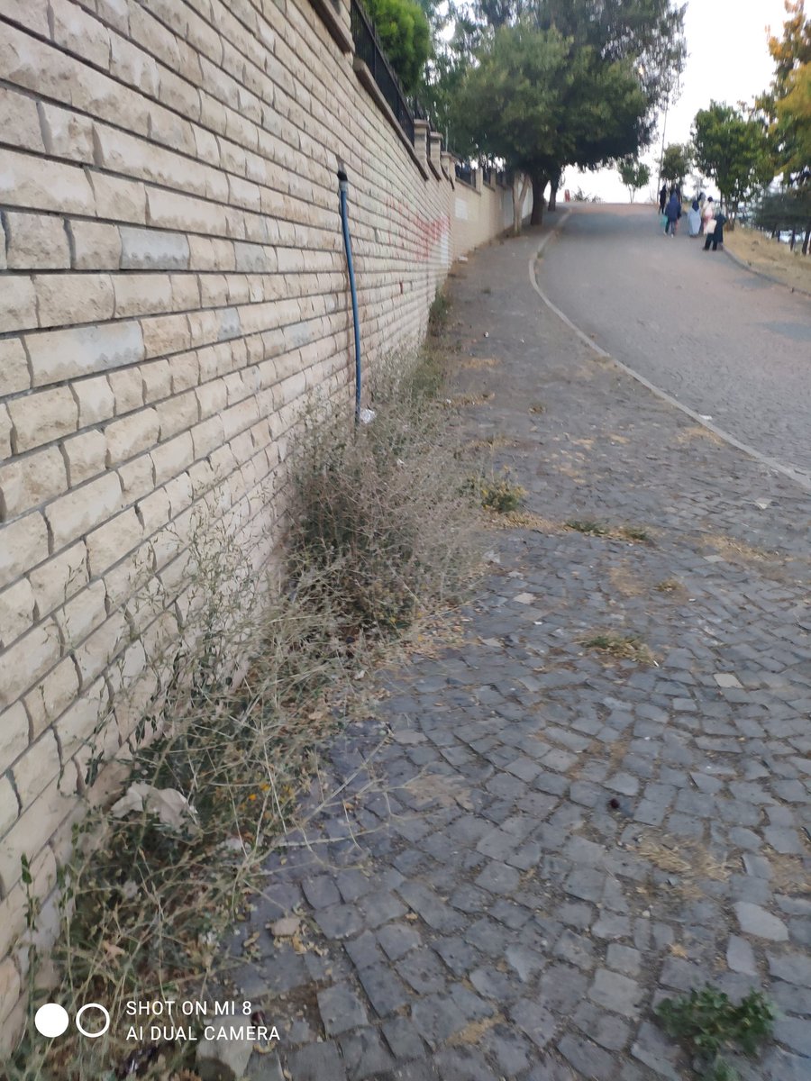 kalkaner23's tweet photo. Aziz şehrimizin vitrini olan Harput a bu görüntüler hiç yakışmıyor @sahin_serifoglu @metinbulut23 https://t.co/KXtqF5qaOZ