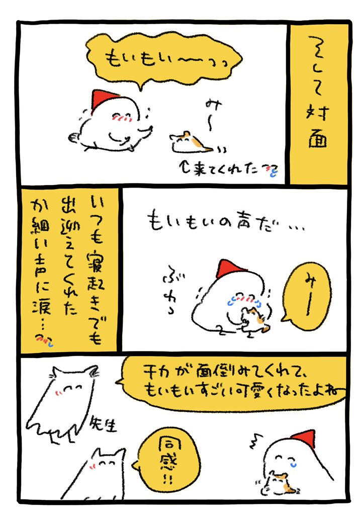 ラストもいもい 