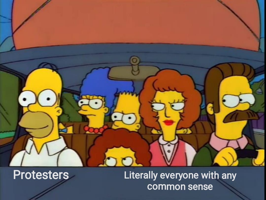 cakeandmadness's tweet image. #lockdownprotest