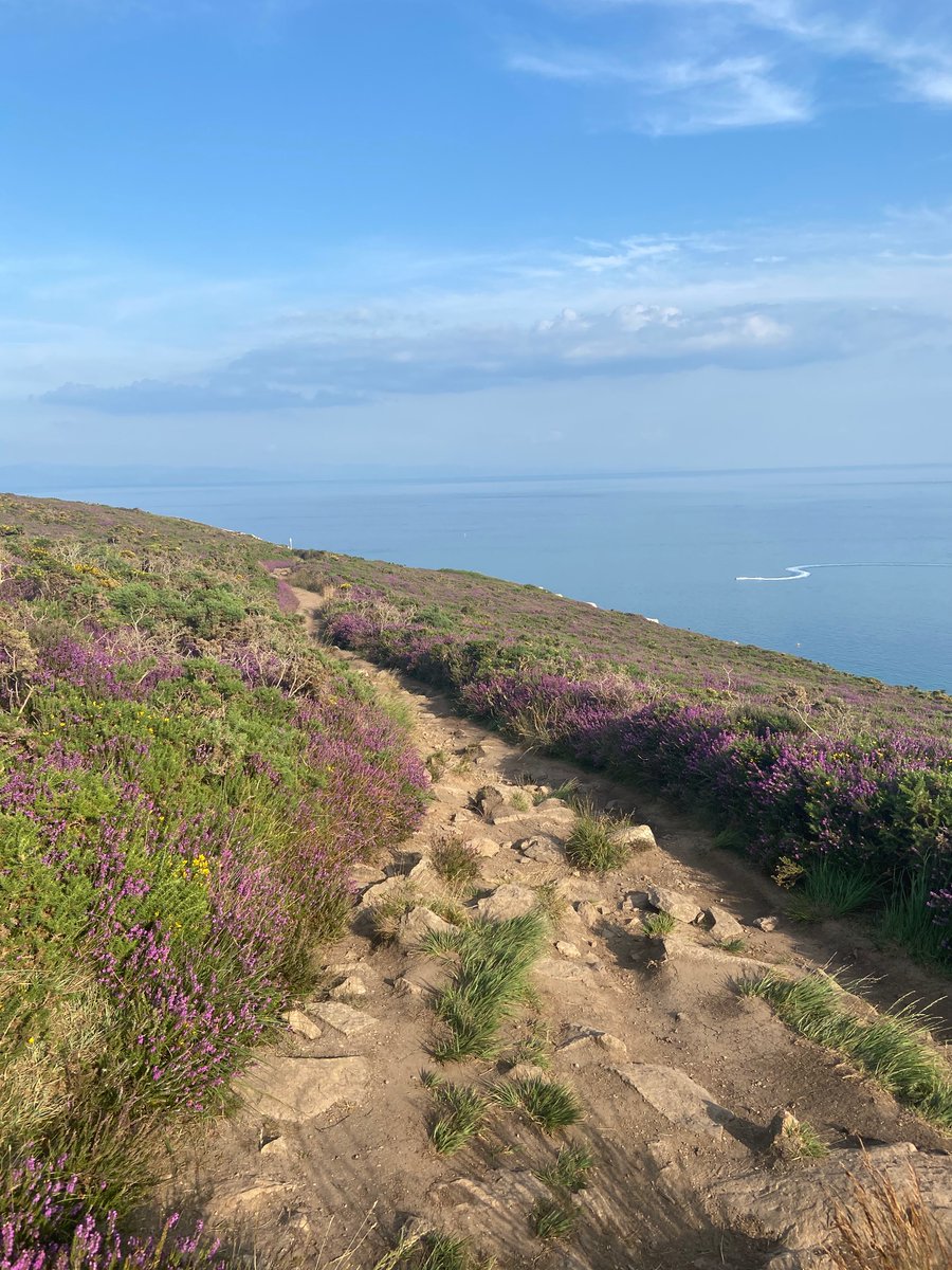 lizziebuck's tweet photo. What a perfect day to get away from it all and explore the Wales Coastal Path #wales #llanbedrog #walescoastalpath #happydays https://t.co/nuqqQgC5pb