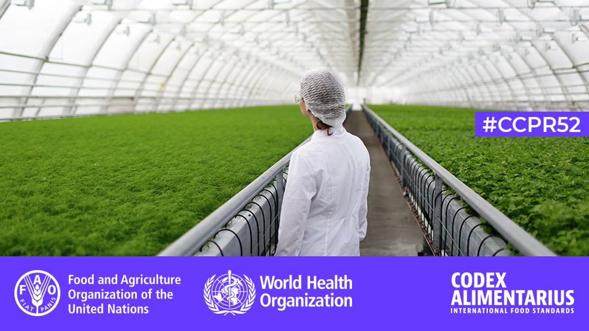 FAOWHOCodex's tweet photo. βοΈ | Next on #Codex agenda
π₯ Codex Committee on Pesticide Residues #CCPR52
ποΈ 26 July - 3 August
π 13:00 - 16:00 CET
π¨βπ»π©βπ» Virtual
π£οΈ π¬π§π«π·πͺπΈπ¨π³
ββΉοΈβ‘οΈ https://t.co/hHxsFckmBq https://t.co/5Myq6hUEGv
