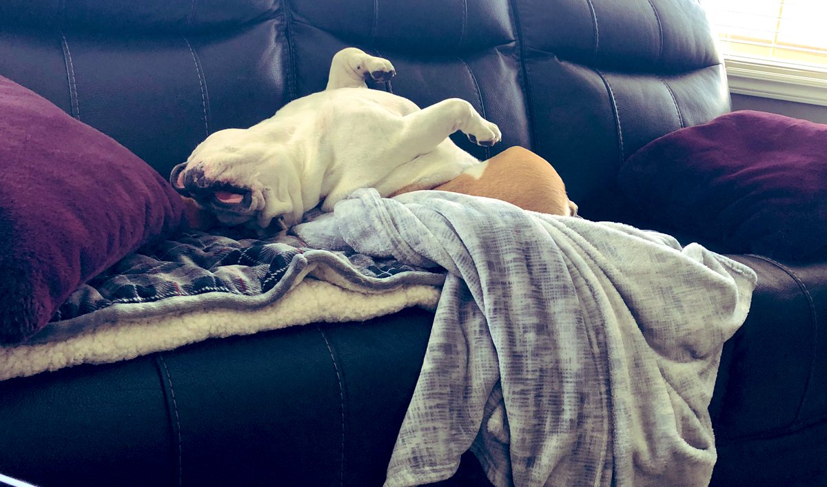 Bourbon & Karalyn's Craft Shack tweet media
