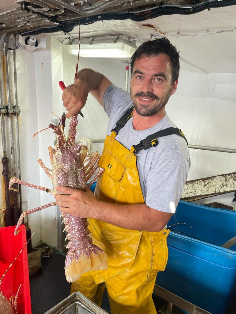 JolFish's tweet image. There’s crayfish then there’s Crayfish! A beauty from The Joy’s trip last week 😍
.
.
.
#newlyn #newlynharbour #cornwall #fish #shellfish #freshfish #fishing #fisherman #fishingboat #fishinglife #supportlocal #crayfish