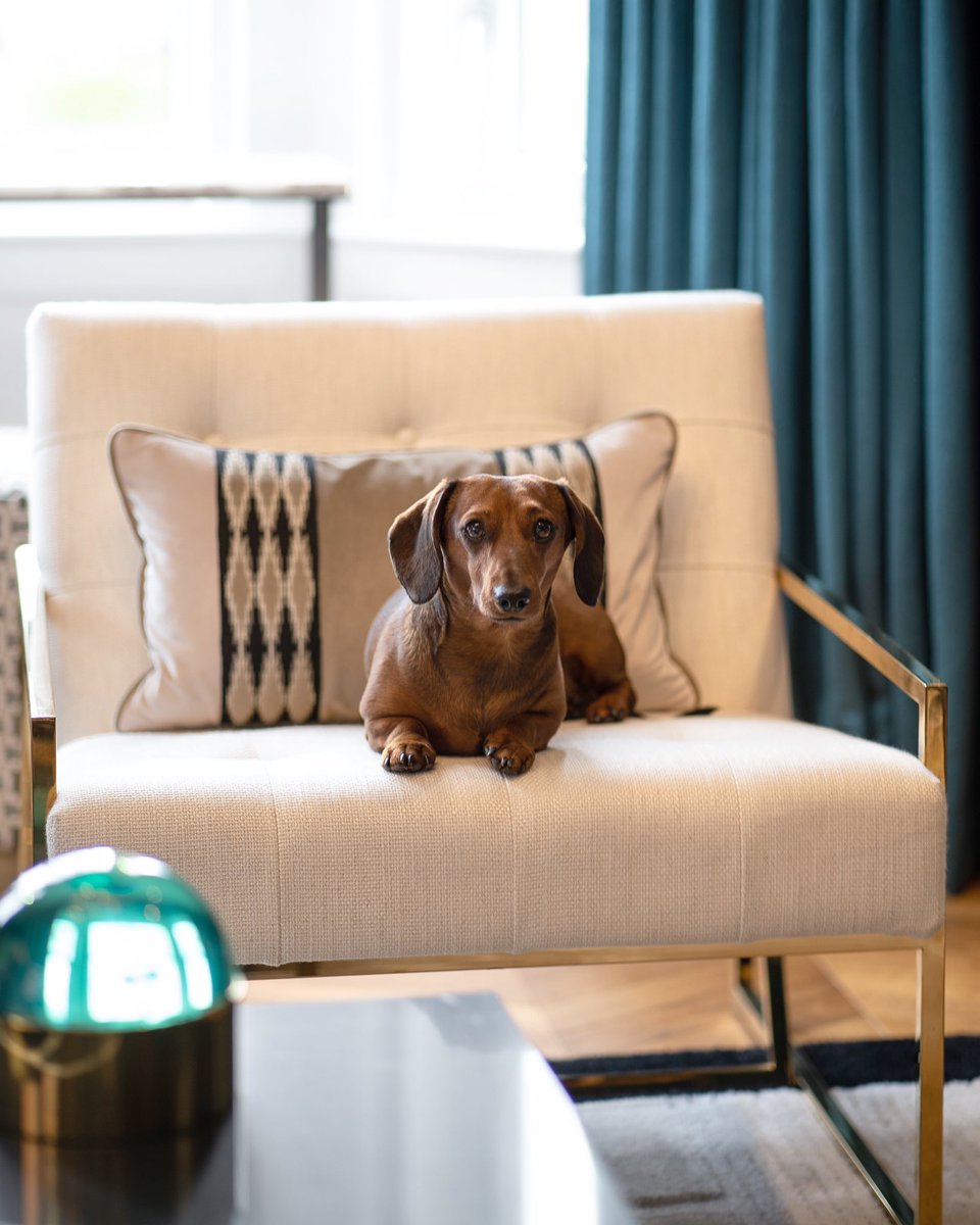 Atelier Interior Design Atelierbelfast Twitter