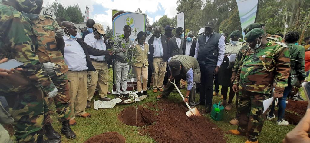 COADKENYA's tweet photo. Elgeyo-Cherangany Hills ecosystem is a source of rivers and springs used for domestic, irrigation and industrial purposes
#GreeningKaptagat
#Towards2billiontrees
#Unitedfortrees
#Pandamitiboreshamaisha https://t.co/kI8zUXEbkt