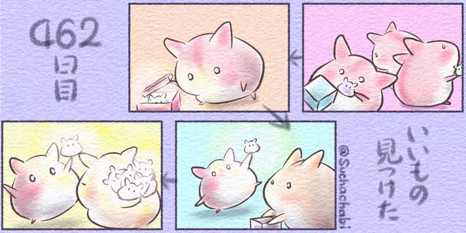 462日目 いいもの見つけた 