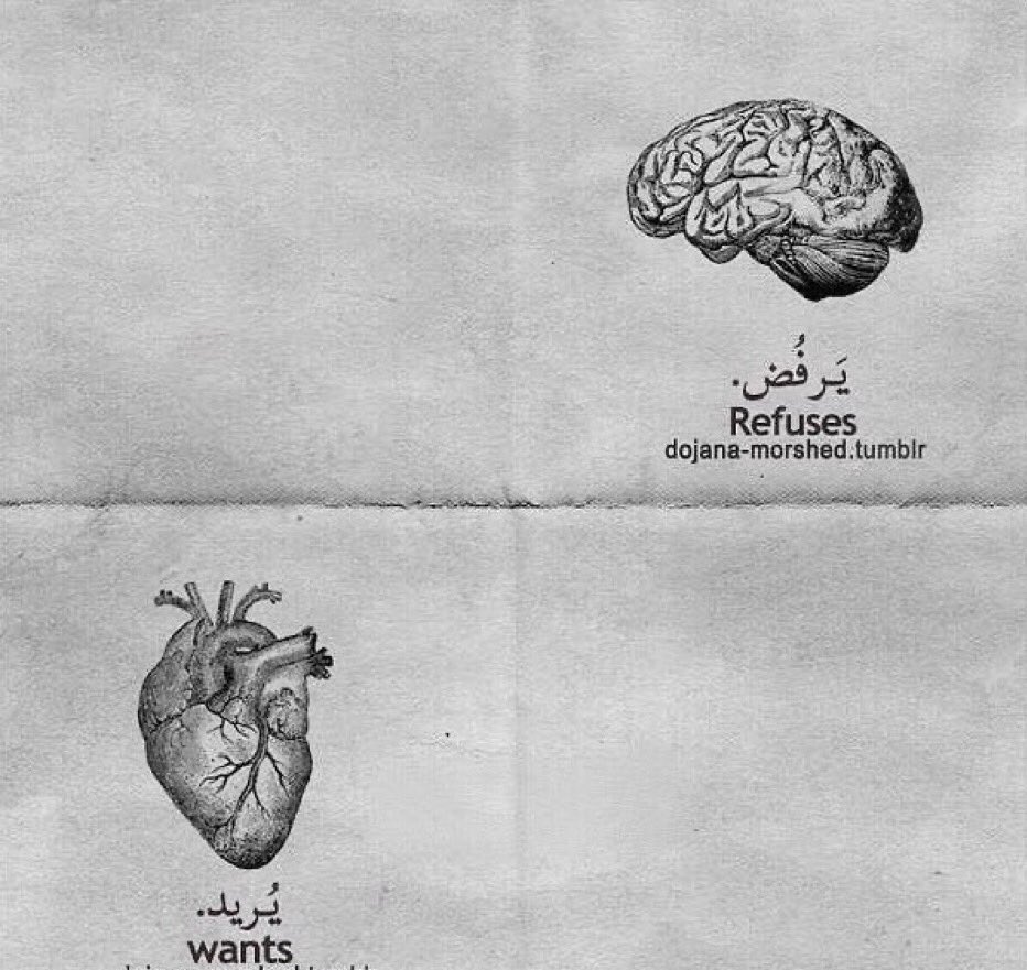 joseeph13x's tweet photo. لا ادري متى ولا كيف 
وبت لا اعلم لماذا ..
كل ما اعرفه هو اني احبك
وكل سبيل لاطفاء ناري سراب
وكل ما ابتعدت اجدني اقترب
.
.
انتِ ملاذي ،،
.
.
. https://t.co/dL9M8Xi2ih