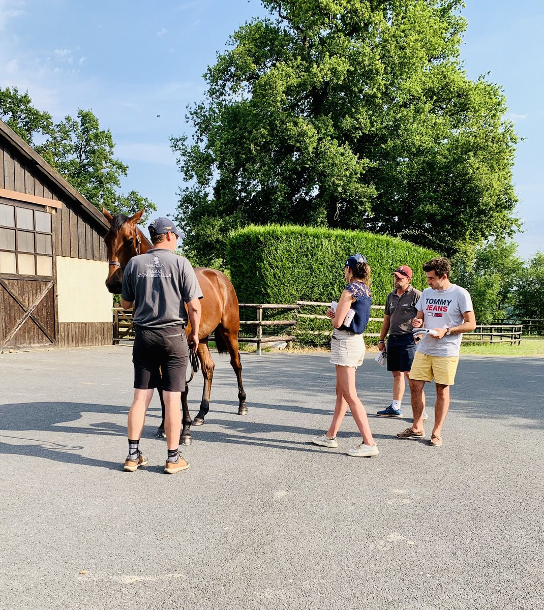 HarasOmbreville's tweet photo. 👀 Another day, another client, same place, same horses 🔎
Thank you @TrottingBlstock 🤗
#Kingman #Siyouni #Woottonbassett #MoreThanReady #Almanzor #Dabirsim #Detreville #Seahbac
@bloodstocknews
@Jour_de_Galop
@SaracenFeeds
@Fedeeleveurs
@BBAG_Sales
@InfoArqana https://t.co/Ghax3QZClD