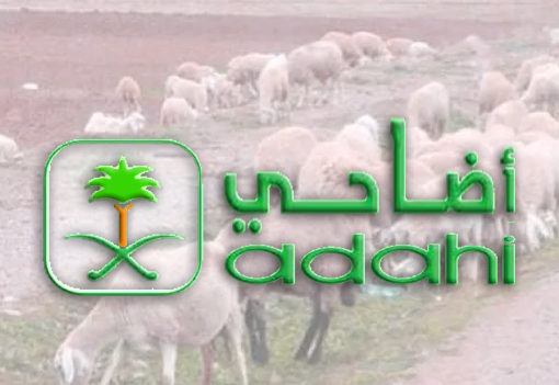 استعراض المقال