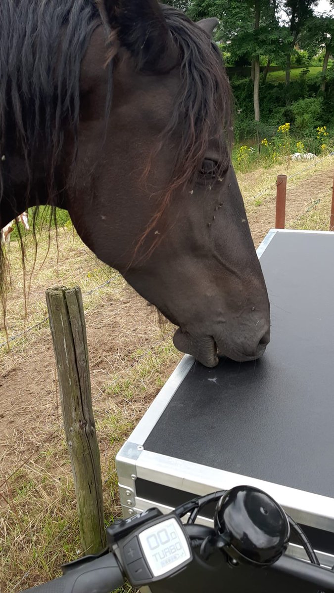 Nieuwsgierige kennismakingen tijdens onze avonturen onderweg🐴🚴