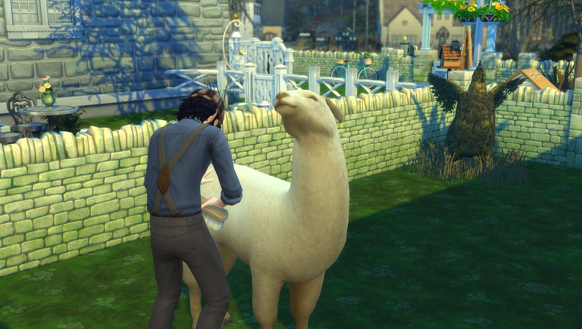 Australly's tweet photo. Anyone else loving their #llama on #cottageliving 

#sims #thesims #ts #simstagram #cc #simstagrammer #simmer #rp #story #roleplay #simsta #legacy #life #simsstory #game #house #build #simslife #ea #sim #TS4 #simstory #family #simblr #simscommunity #simsrp #simscc #Gameplay https://t.co/jRzuShE1VS