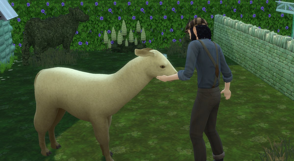 Australly's tweet photo. Good Morning! 

#sims #thesims4 #ts #simstagram #cc #simstagrammer #simmer #rp #story #roleplay #simsta #legacy #life #simsstory #game #house #build #simslife #ea #sim #llamas  #simstory #family #simblr #simscommunity #simsrp #simscc #gameplay #eagames #TS4 https://t.co/41TN0C3Fil