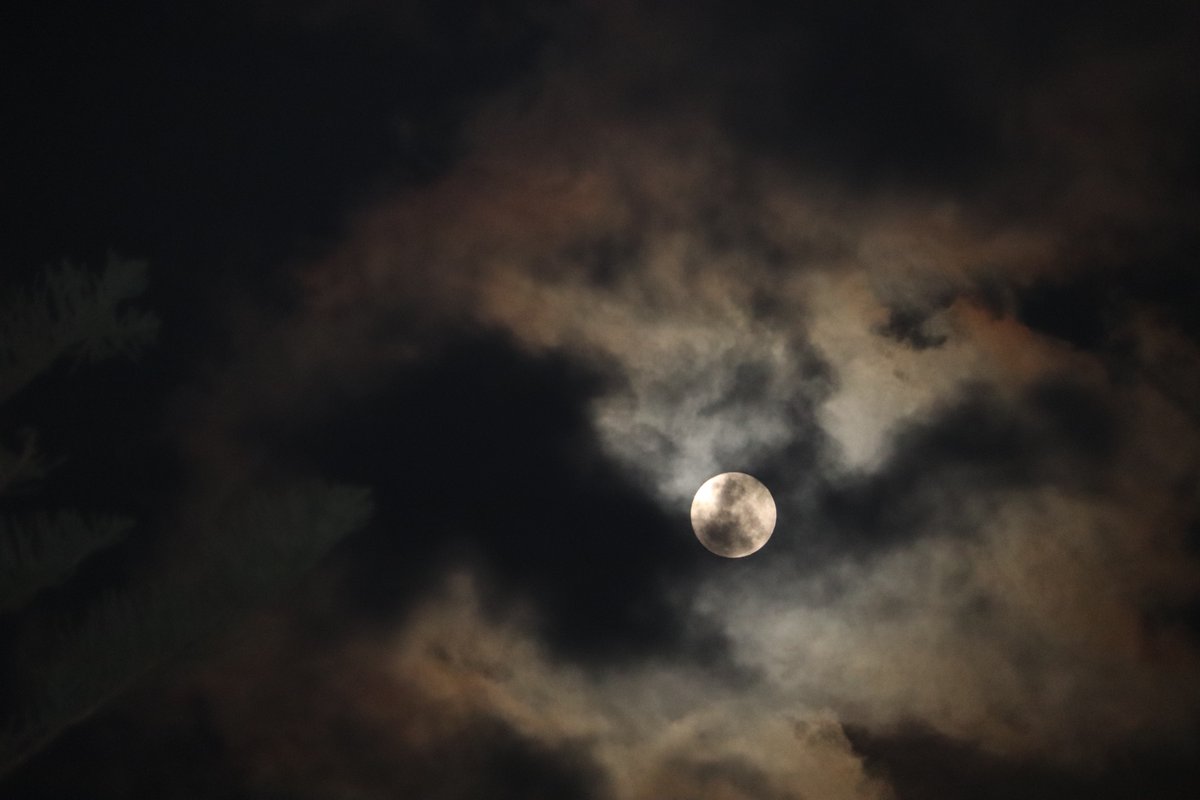 Anza_Simmo's tweet photo. More #Moon from #LovesBay #Kiama #Moonlight #WitchesNightOut #FullMoon #FullMoonMagic #Photography #NoFilter #CanonEOS77D #CanonPhotography https://t.co/MRvewXxtHw