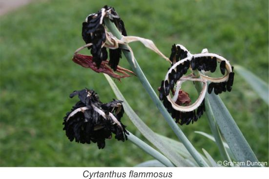 SA Biodiversity tweet media