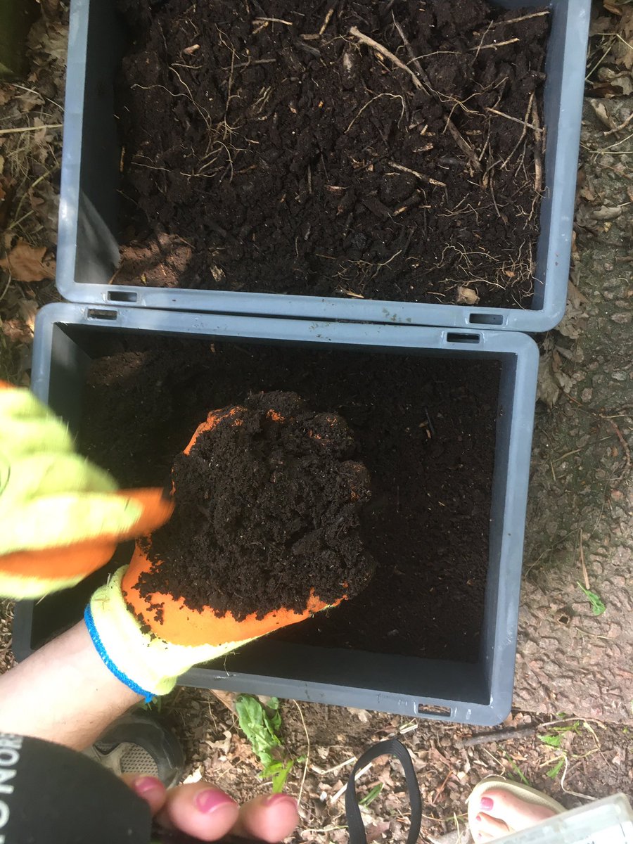 AnnaPerrott1's tweet photo. Forget becoming a Jedi Master... @BBCNorfolk you can become a Master of Compost! 

@GOComposters @gardenorganicuk @NorfolkRecycles @NorfolkCC https://t.co/IdfnCOaO6I