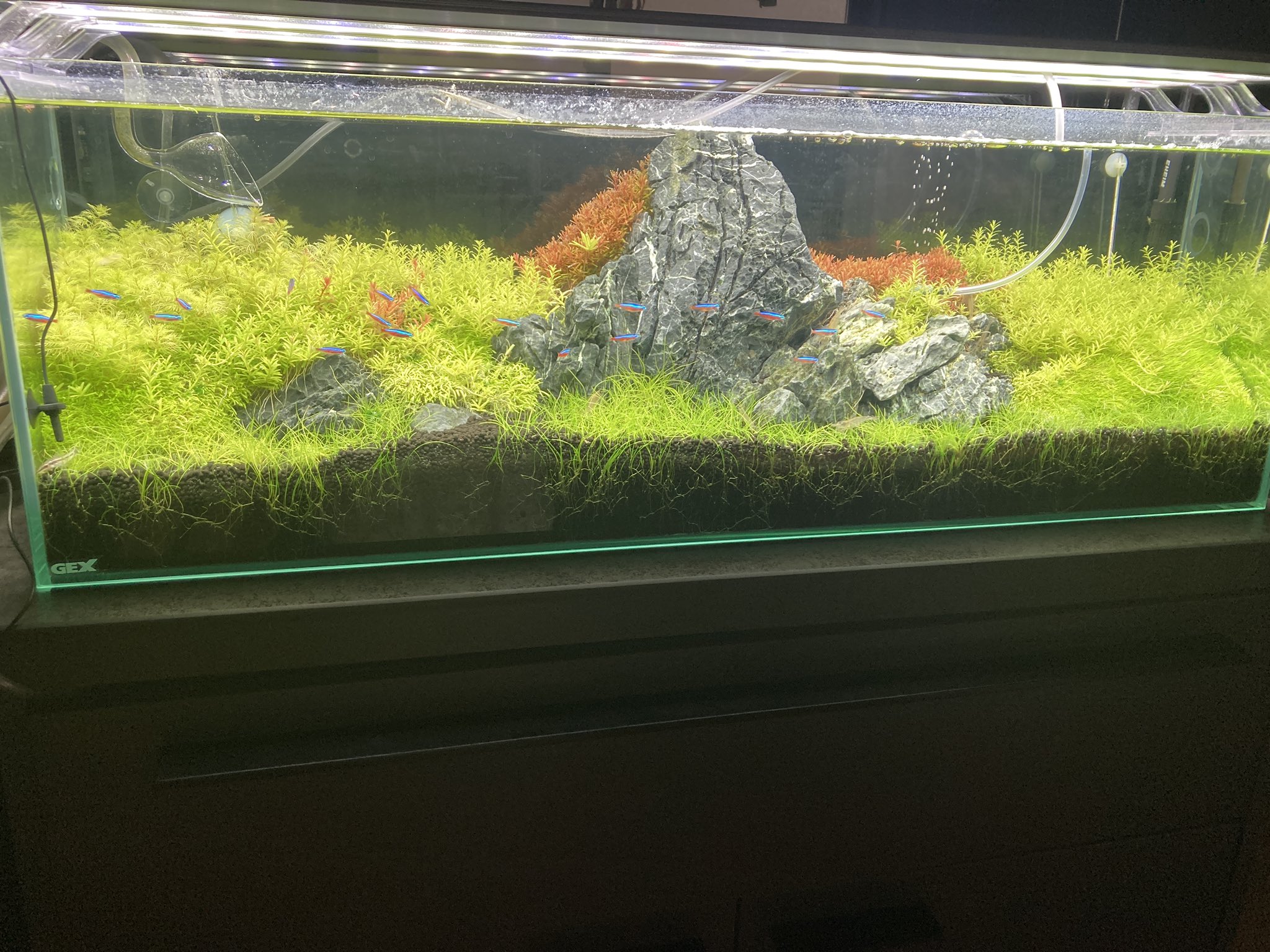 Wjiy040jfp8onm