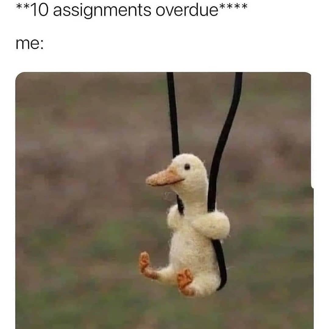 TheLaughingLadd's tweet photo. Theres plenty of time 🤗

#memes #sarcasm #work #lazy #haha #funny #bird #insta #procrastinate #broke #theoffice #workmemes #brokememes #notime #busy #working #worker #later #bestfriend https://t.co/87pJeOP47L