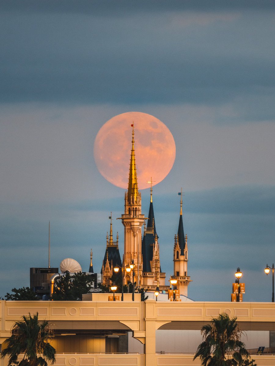 ディズニーランドのシンデレラ城と月のコラボが 幻想的で美しすぎるので集めてみました 満月も三日月もよき 魔女が出てきそう Togetter