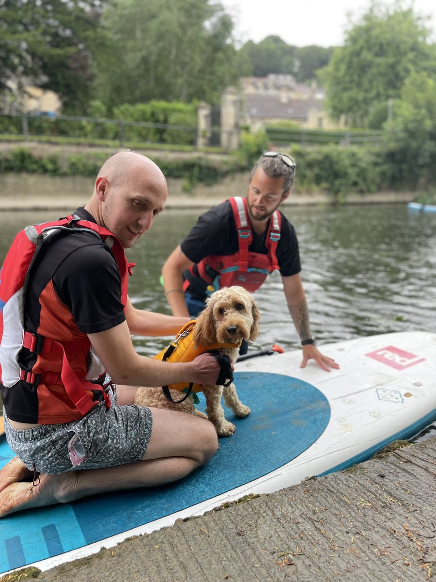doghousewoofs's tweet photo. A few spaces left on our stand up paddleboarding with dogs sessions this weekend! 🏄‍♂️ https://t.co/8Xfe5P7van https://t.co/dgi1zOK5AJ