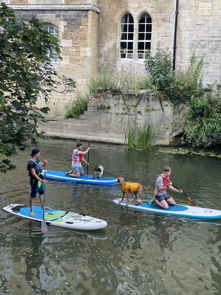 doghousewoofs's tweet photo. A few spaces left on our stand up paddleboarding with dogs sessions this weekend! 🏄‍♂️ https://t.co/8Xfe5P7van https://t.co/dgi1zOK5AJ