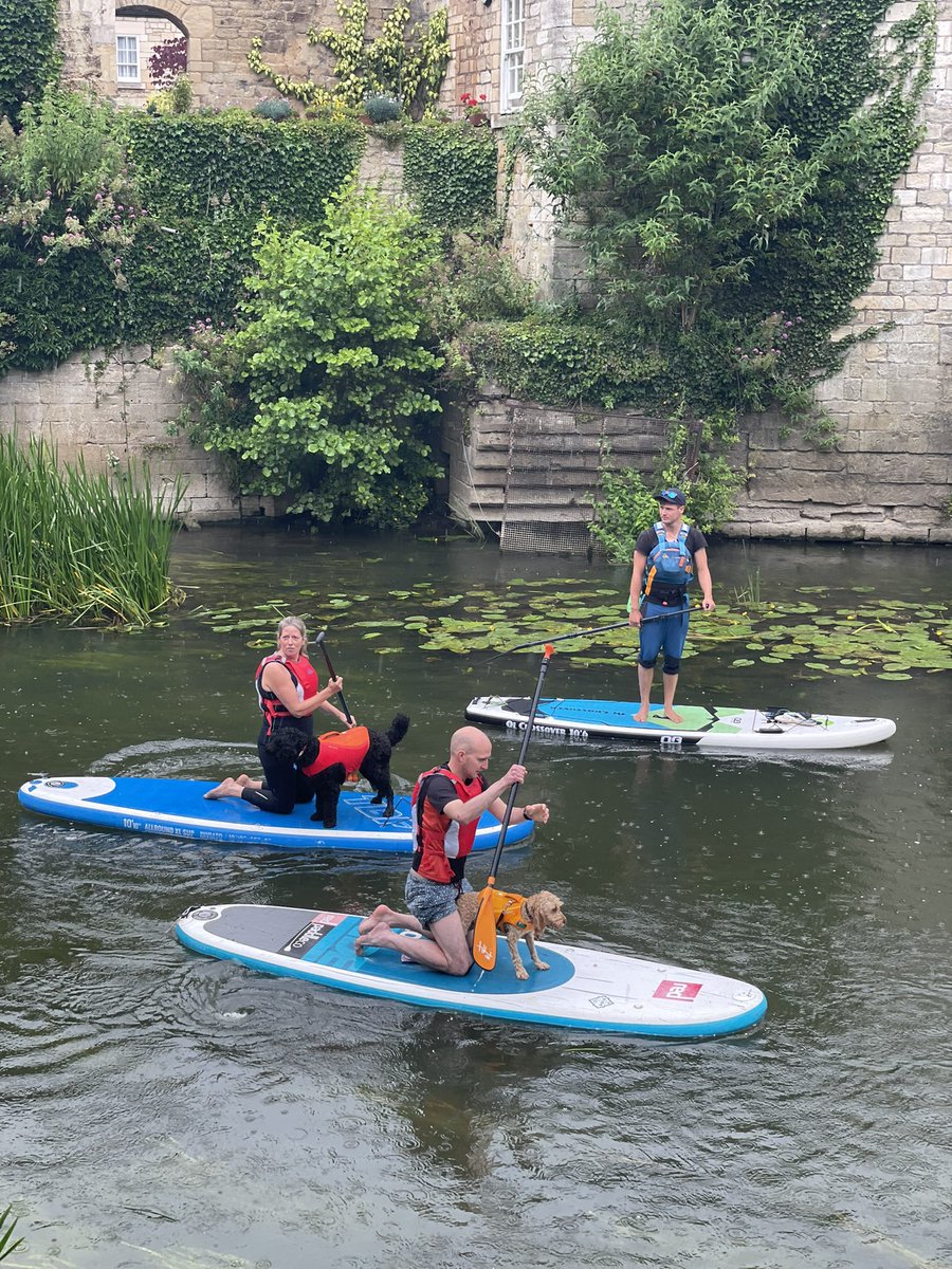doghousewoofs's tweet photo. A few spaces left on our stand up paddleboarding with dogs sessions this weekend! 🏄‍♂️ https://t.co/8Xfe5P7van https://t.co/dgi1zOK5AJ