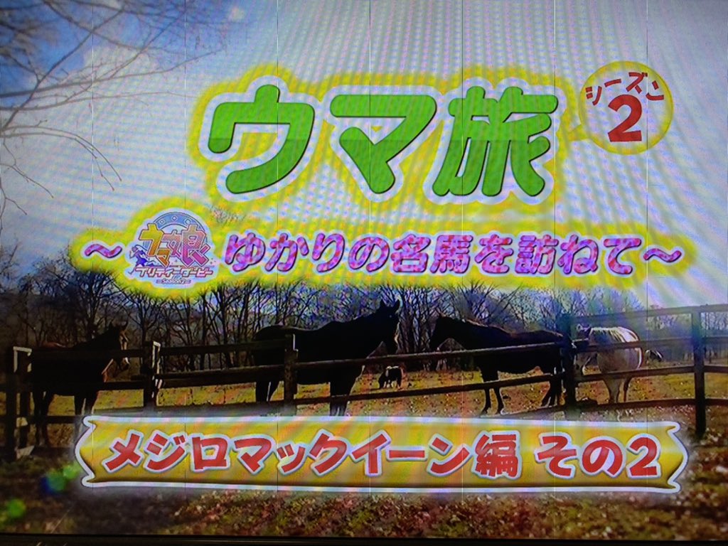 ひまるや アニメ円盤の特典映像とは思えないくらいただの競馬ファン向けで笑う ライアンは人気凄くてjraが引退式特例でお金出してくれたのかー 普通はg1を2勝以上しないと馬主側がお金出さないといけないらしい