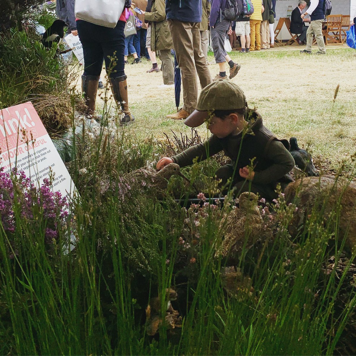 BASCnews's tweet photo. Three year old Jacob enjoys his first encounter with a curlew in our uplands zone at @TheGameFair #thegamefair2021 #conservation https://t.co/rCPKp3yWz4