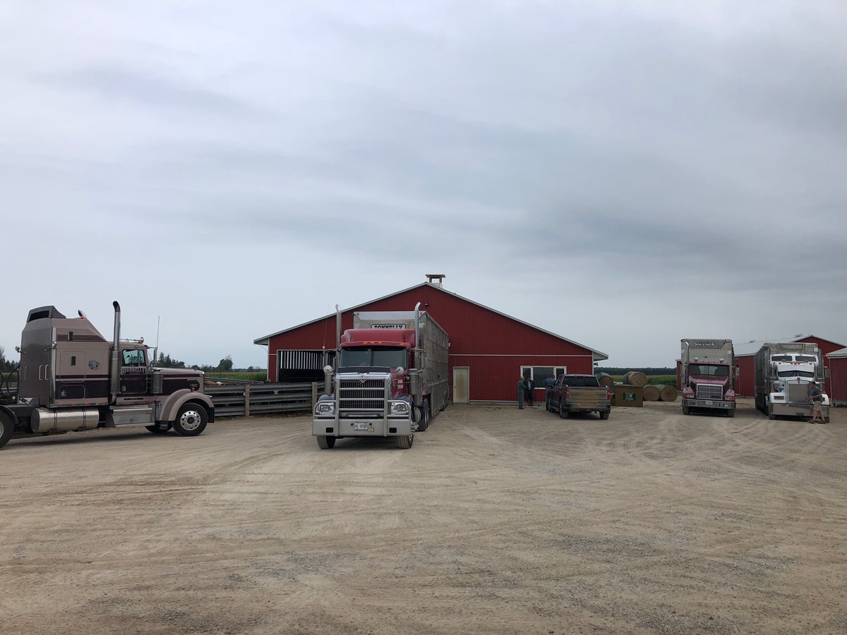 BOYS ARE BACK IN TOWN🤠 convoy today