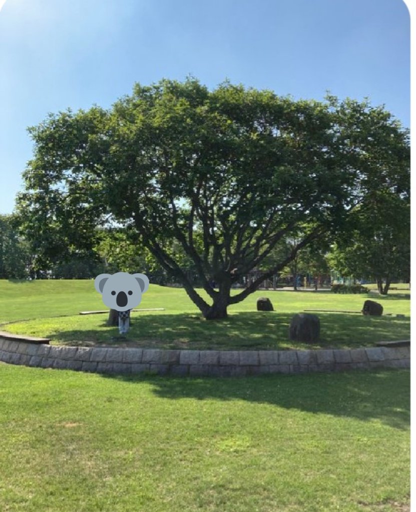 僕だけがいない街 ロケ地 撮影秘話 最新情報まとめ みんなの評価 レビューが見れる ナウティスモーション