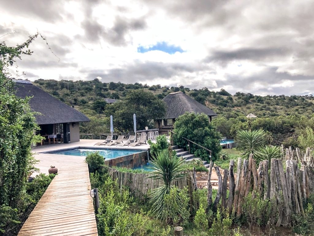 Bukelagamelodge's tweet photo. Say goodbye to traffic, grocery stores and the hustle-and-bustle of the city and join us at our hidden gem in the heart of Amakhala Game Reserve.
https://t.co/BhyAU4tN6o
#BukelaGameLodge #Bukela #LionRoarsHotels #EasternCape #Amakhala #LionRoars #AmakhalaGameReserve https://t.co/SbMEyHOQnF