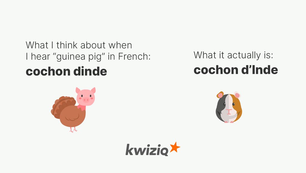kwiziq's tweet photo. Do you have any misconceptions in French? Share them with us! https://t.co/093YvbF4CG
