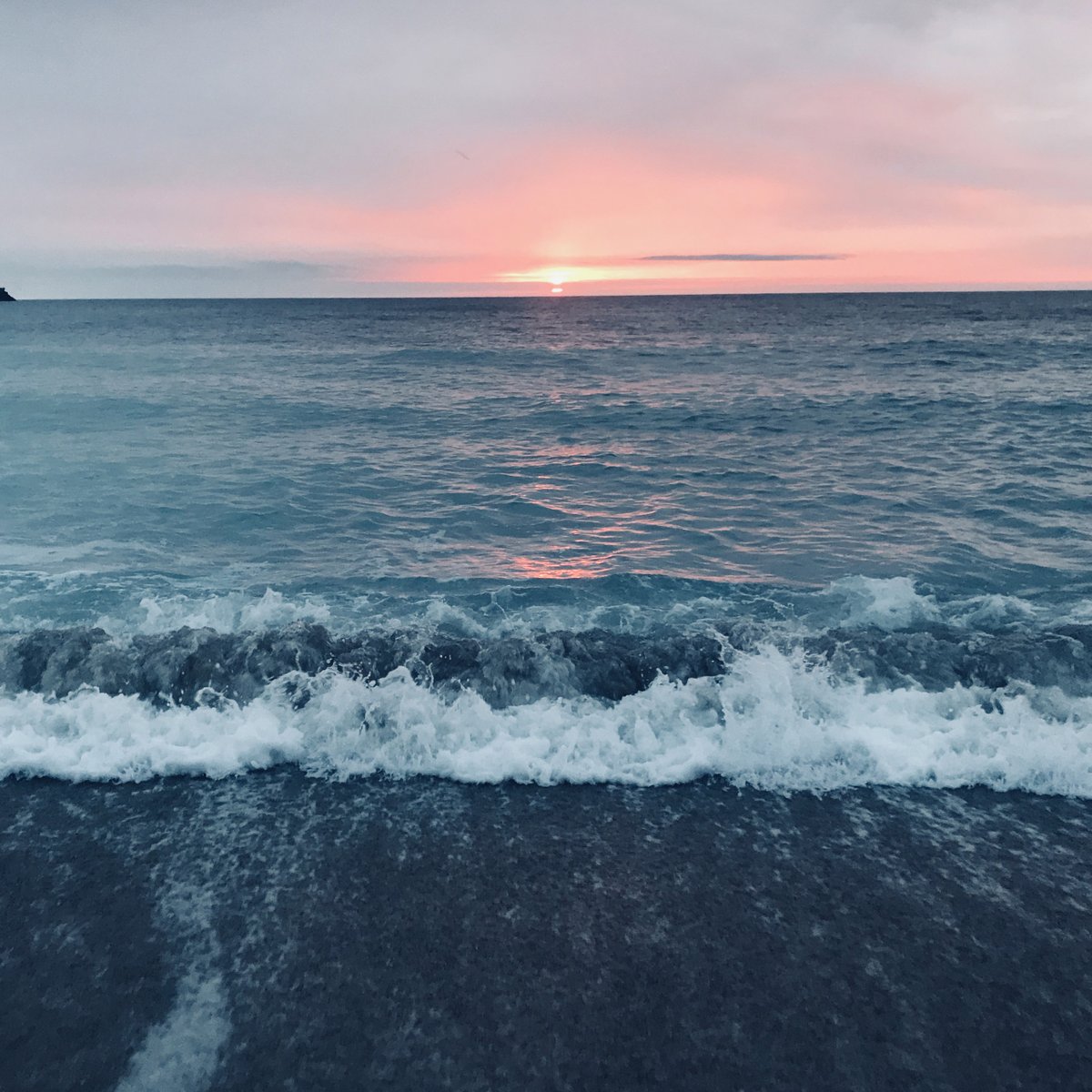trelonk's tweet photo. With over a third of the world's population choosing to live along the coast, there must be benefits that a coastal life provides over a city life? 

We've taken a look... check it out here:
https://t.co/5Nc19NySuO

#aromatherapy #nutraceutical #plantscience #farminguk https://t.co/dMHdN4sXQs