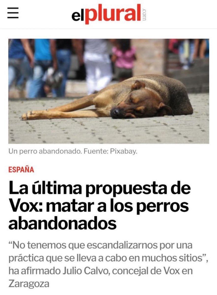 No se libran ni los perros callejeros, que asco de gente.