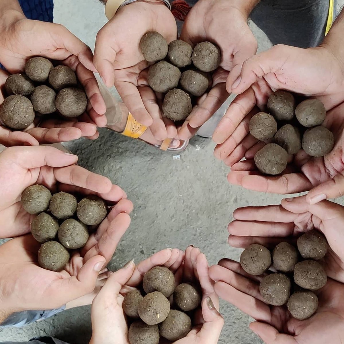 disha_jammu's tweet photo. This Sunday Disha Volunteers are going to throw seed balls in the forest areas of Jammu and  Cleanup drive at View point near Ban Toll Plaza Jammu.
 kindly join the drive from 6.30 AM to 8.30 AM,  25th July 2021 (Sunday)

For details whatsapp 6005958260 https://t.co/9sb47BVOgZ
