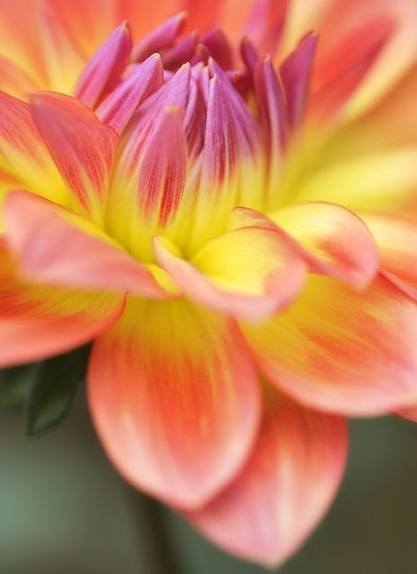 ☀️☀️☀️ #Dembaş ☀️☀️☀️