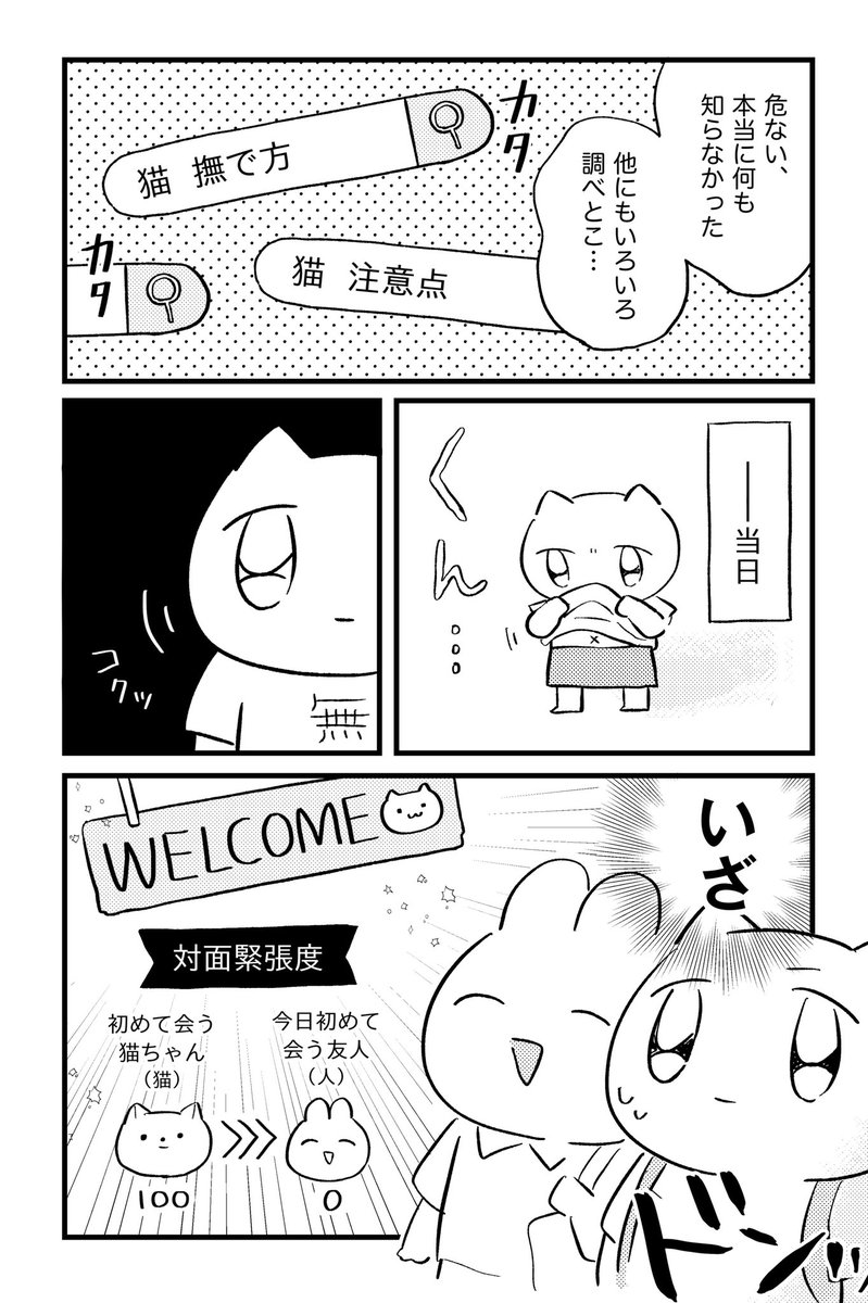 猫と触れ合った記録 