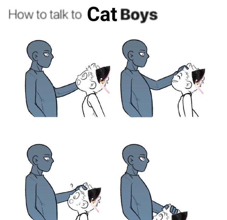 Catboy Cafe (@cafe_catboy) / Posts / X