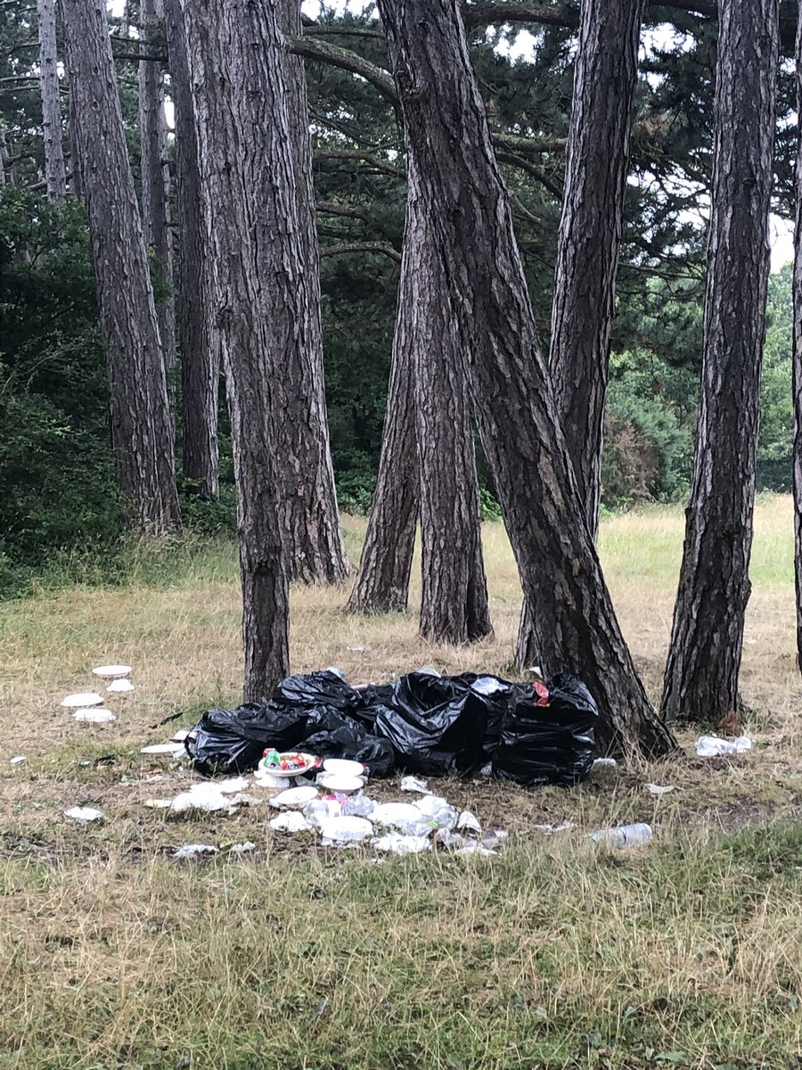 Sara16b's tweet photo. @BarnetCouncil the rubbish in Scratchwood Open Space have been piling up for weeks now. Please do something about it! https://t.co/ZzYUv8OCYI