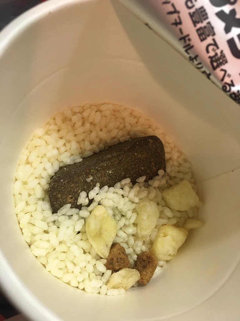 はじめて日清のカレーメシを食べる！猫飼いにとっては既視感w