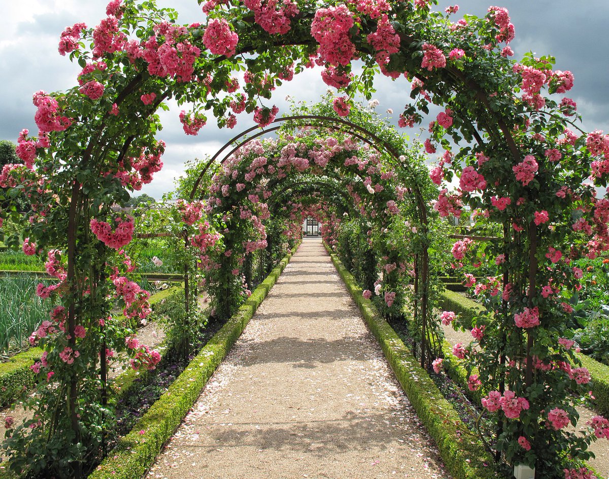 GoDoMuncie's tweet photo. Looking for a volunteer opportunity?
 Horticulture Volunteer Days

Join the Minnetrista Horticulture team for a special volunteer day to help maintain and further our lively gardens!

#godomuncie #greenthumb
https://t.co/2NMeBgK32z https://t.co/qmZWiR9yES