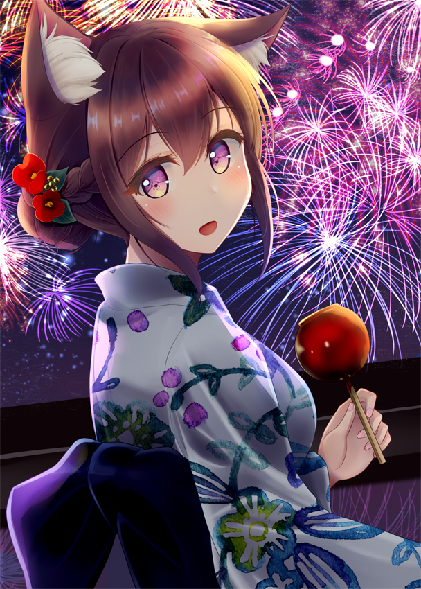 獣耳お姉さんに癒されたい その17
「わあ……。すごいね、綺麗だね……!」 