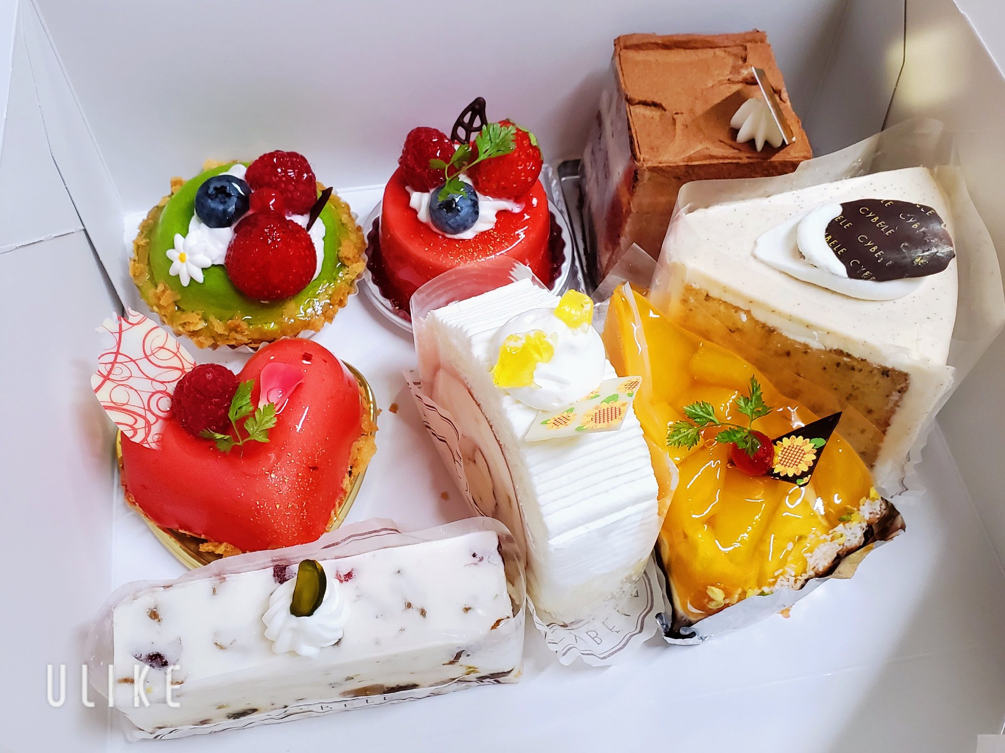 シベールの杜 Twitter Search Twitter