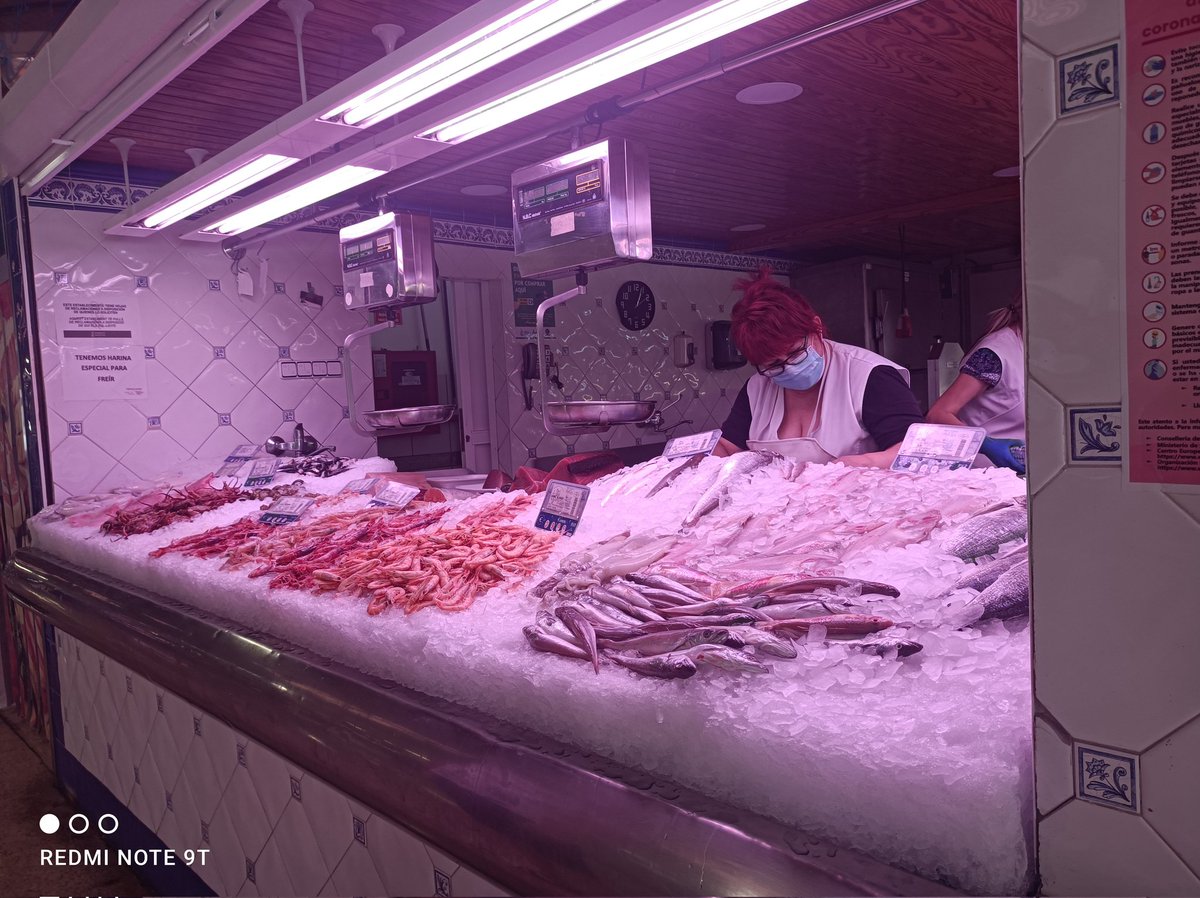 Canxuki's tweet image. Things I missed.

#AlicanteVibes #FreshFish #FinallyHome