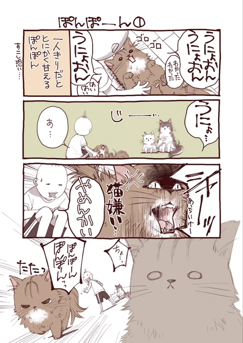 皆さんぽんぽんさんですぽんぽんさんをよろしくお願いします。2回目#猫のいる生活 