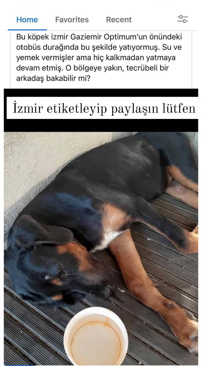 İzmir etiketleyip paylaşın lütfen
#izmir #yardım