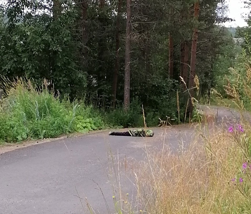 hellishbitch's tweet image. муд